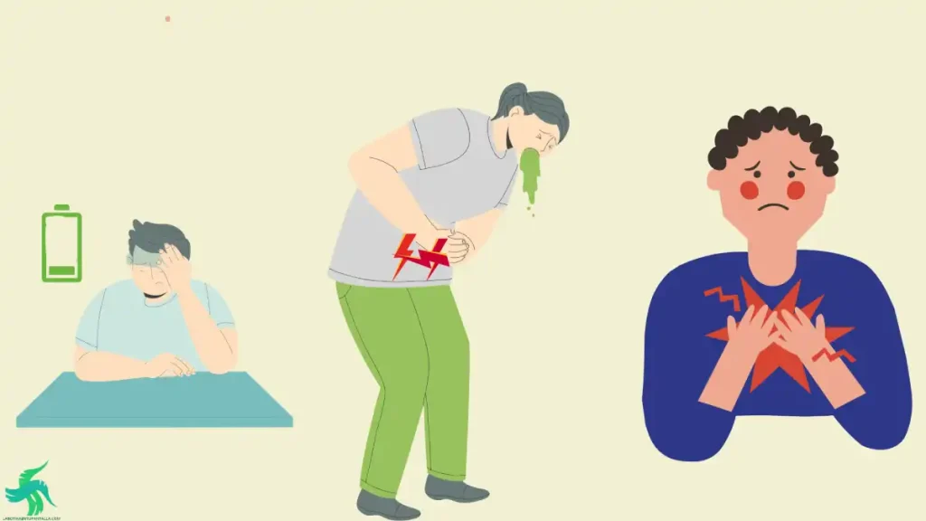 diabetes mellitus y enfermedad cardiovascular