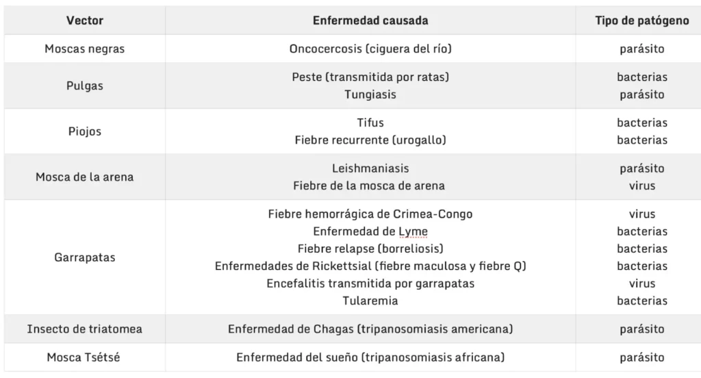 Prevención a las picaduras de insectos, MOSQUITOS Y GARRAPATAS,que causan diferentes enfermedades