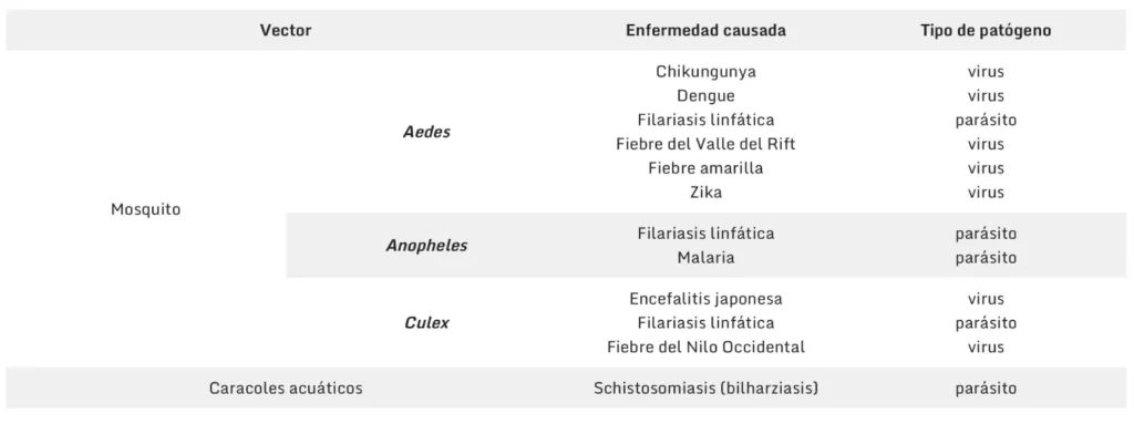 Prevención a las picaduras de insectos, MOSQUITOS Y GARRAPATAS,que causan diferentes enfermedades