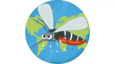 Dengue: síntomas, contagio, vector, agente causal.