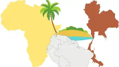 Malaria: síntomas, contagio, vector, agente causal