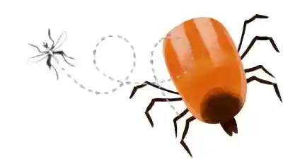 Prevención a las picaduras de insectos, MOSQUITOS Y GARRAPATAS,que causan diferentes enfermedades
