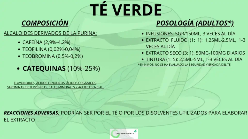 Qué es el té verde y como hay que tomarlo para evitar la toxicidad hepática.