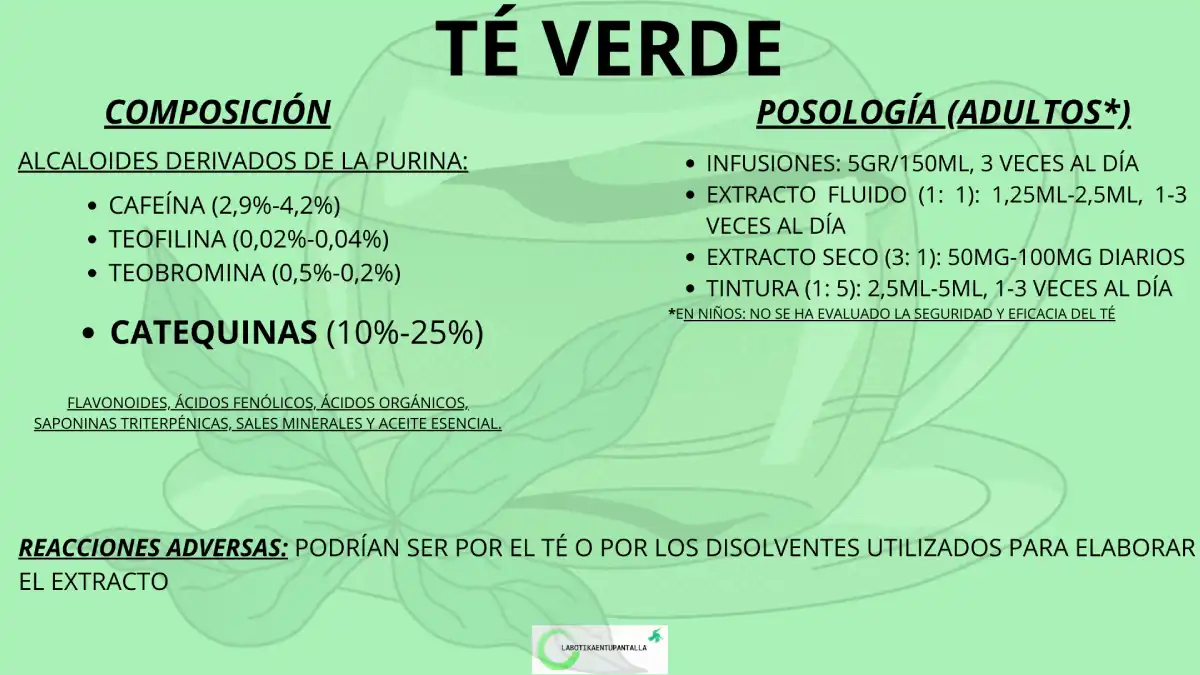 Qué es el té verde y como hay que tomarlo para evitar la toxicidad hepática.