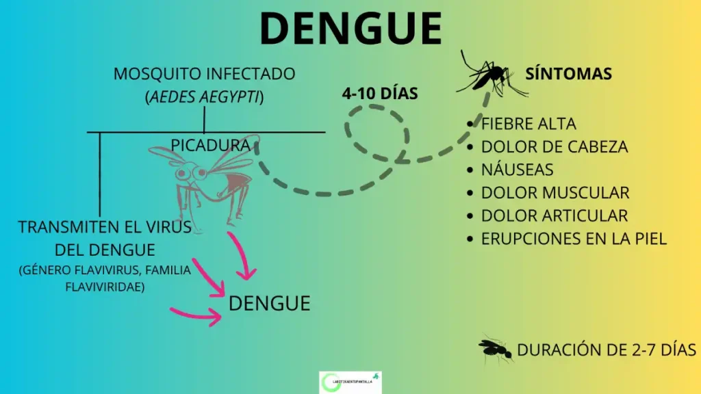 Dengue: síntomas, contagio, vector, agente causal.