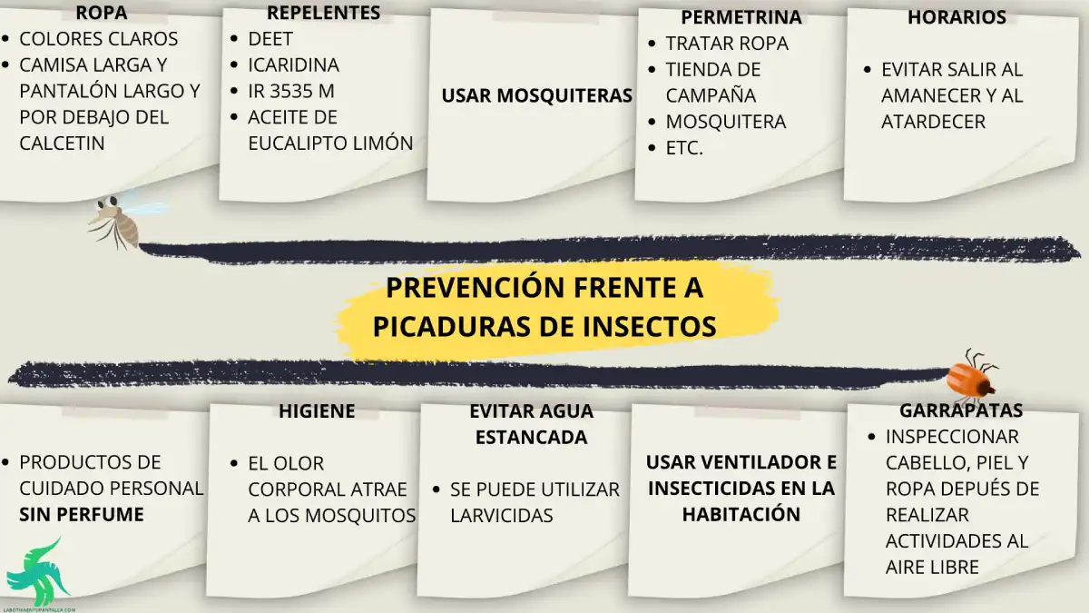 Prevención a las picaduras de insectos, MOSQUITOS Y GARRAPATAS,que causan diferentes enfermedades