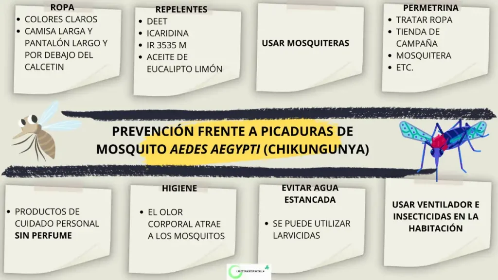 Chikungunya: prevención del vector y agente causal.