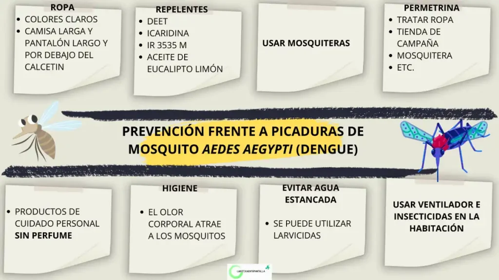 Prevención del Dengue: contagio, vector y agente causal.