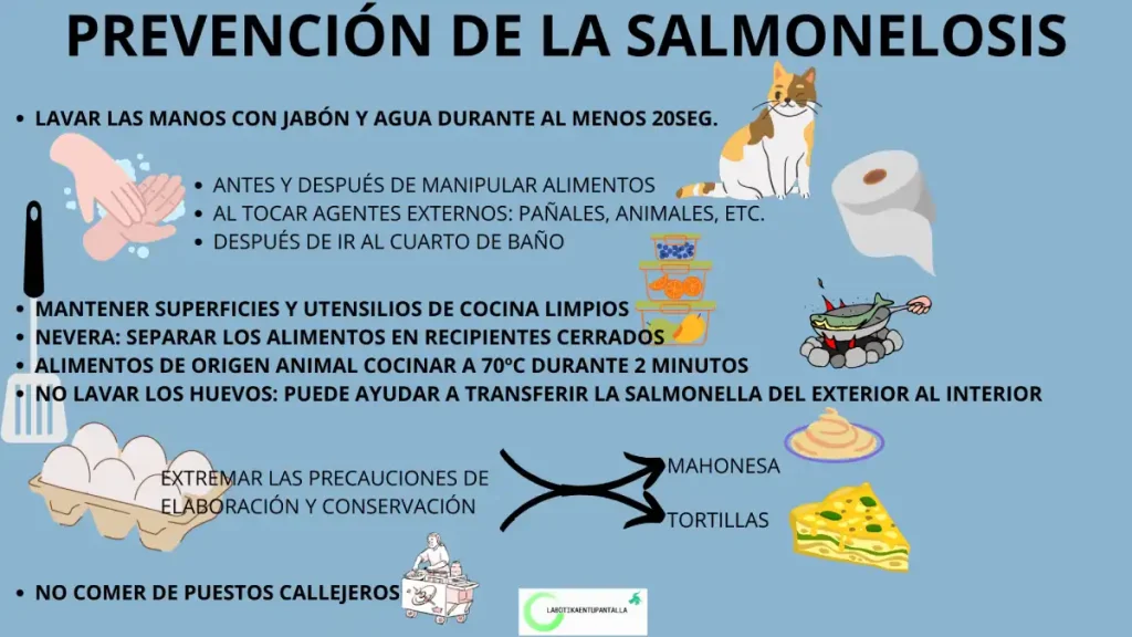 Qué es la salmonella y cómo prevenir el contagio de la bacteria.