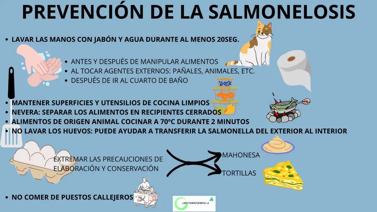 Qué es la salmonella y cómo prevenir el contagio de la bacteria.