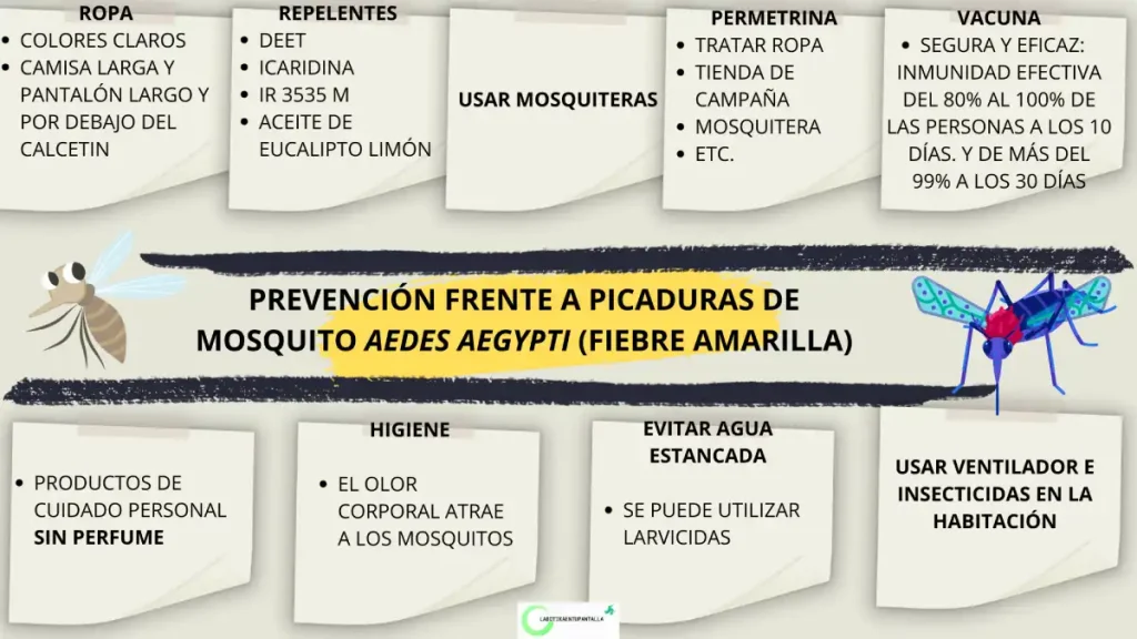 Prevención de la Fiebre amarilla: contagio, vector y agente causal.