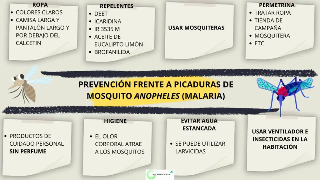 Prevención de la Malaria: contagio, vector y agente causal.
