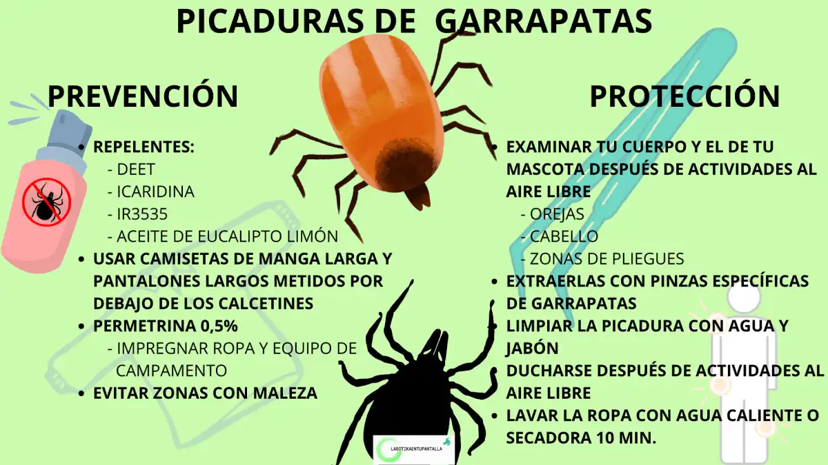 Enfermedad de lyme: prevención de las picaduras de garrapatas.