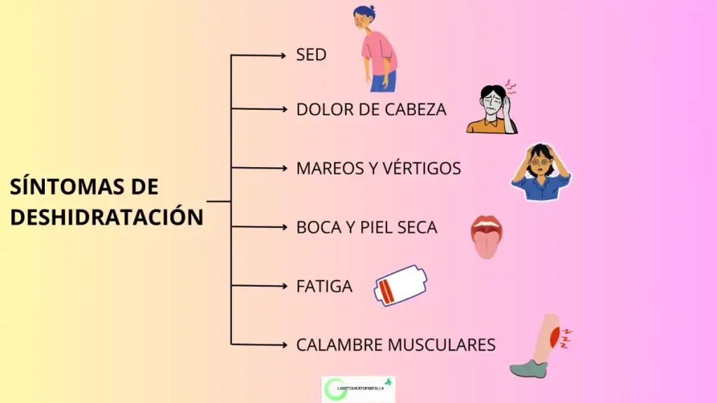 Qué síntomas vamos a tener cuando estemos deshidratados