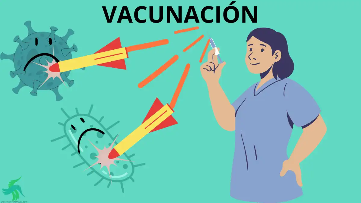 Cartilla de vacunación internacional, fiebre amarilla