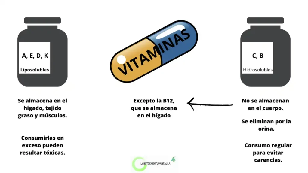 Suplementos alimenticios (deporte, caída del pelo…) y vitaminas imprescindibles (vitamina D, B12…).