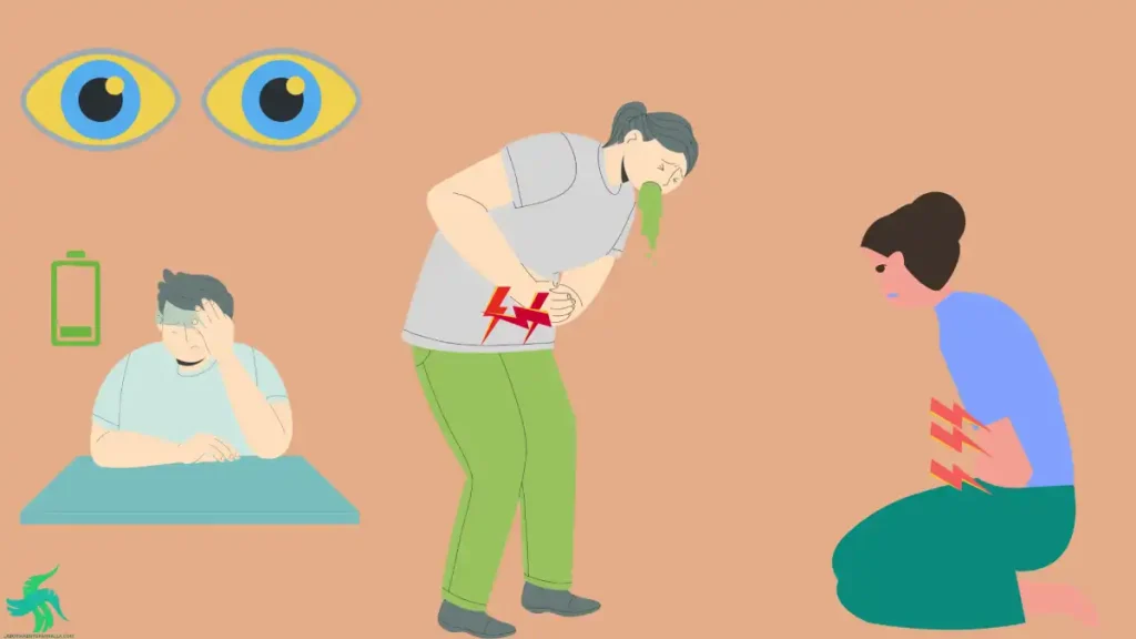 Qué es el té verde y como hay que tomarlo para evitar la toxicidad hepática.