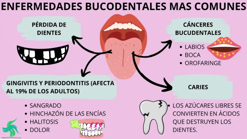 qué es la salud bucodental, prevención, importancia, salud general