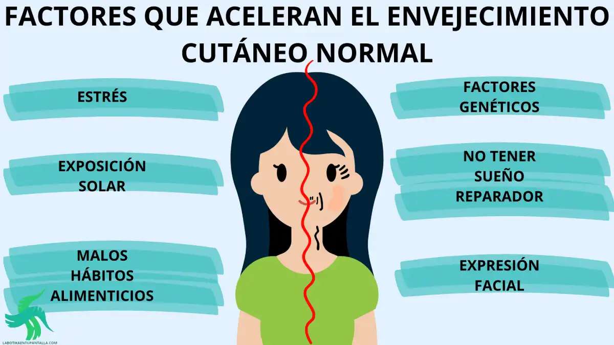 Cómo evitar el envejecimiento cutáneo normal