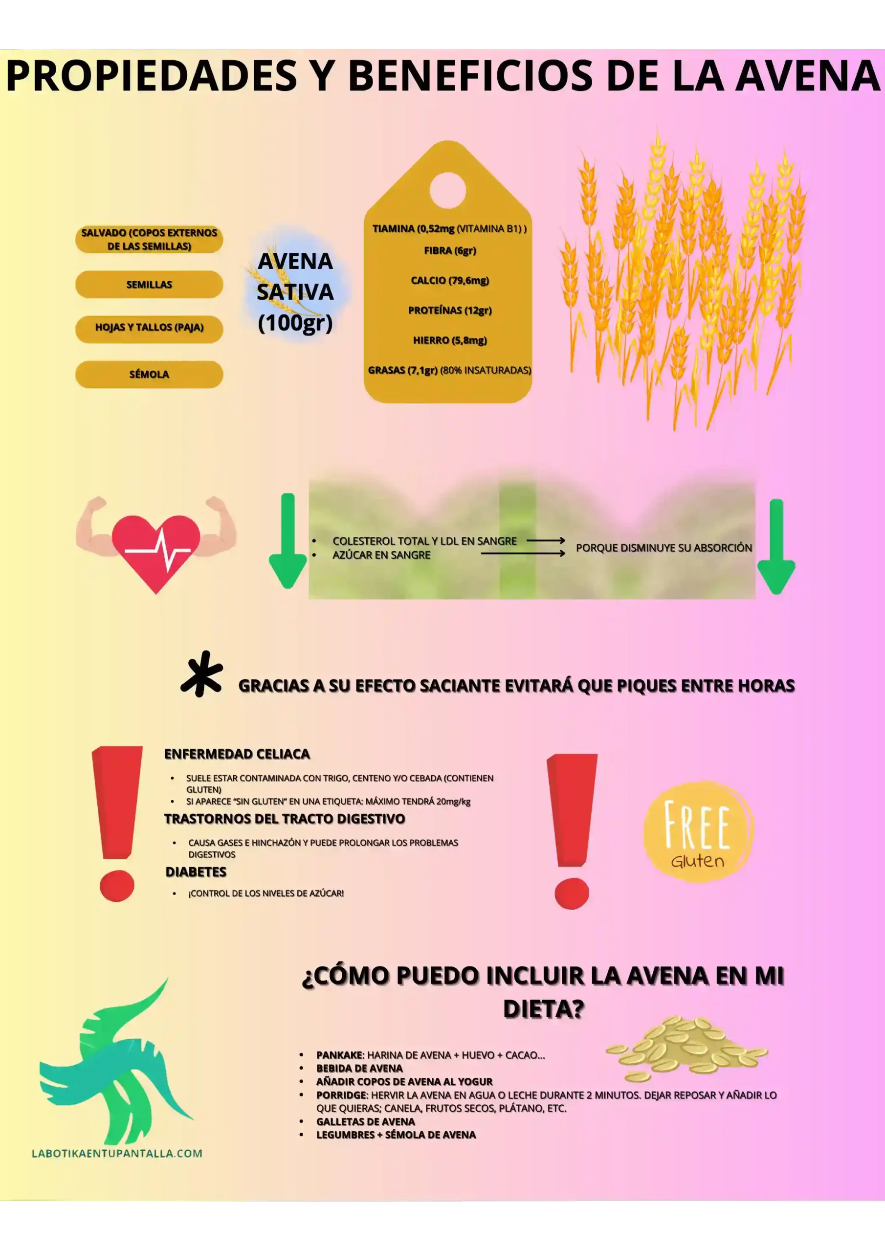 Propiedades y beneficios de la avena: galletas, pancake, porridge...
