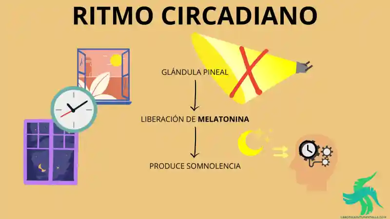 Qué es, síntomas y causas a largo plazo del insomnio