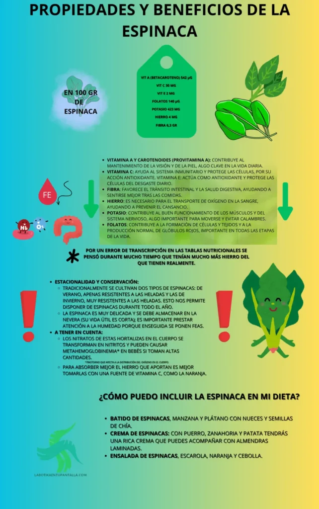 Propiedades y beneficios de la espinaca, recetas, como comerla