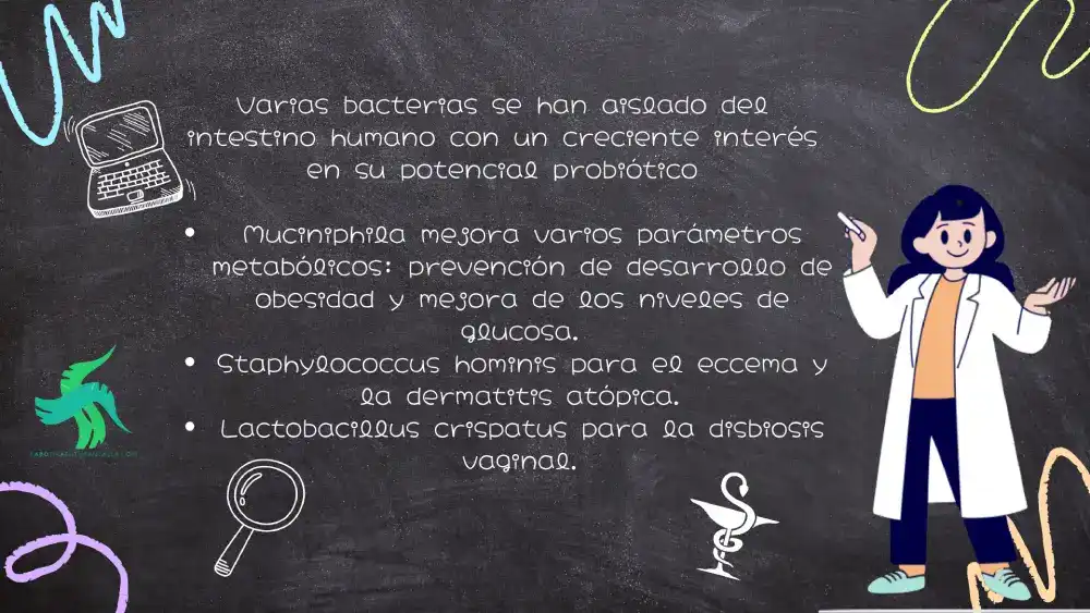 qué es el microbioma humano, cuántas bacterias hay en el cuerpo humano, cuanto pesa la microbiota intestinal cuál es la importancia del equilibrio del microbioma humano, cómo cuidar la microbiota intestinal