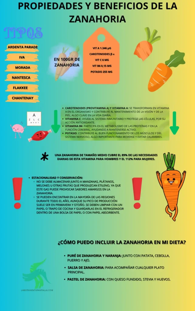 Propiedades y beneficios de la ZANAHORIA, recetas, como comerla