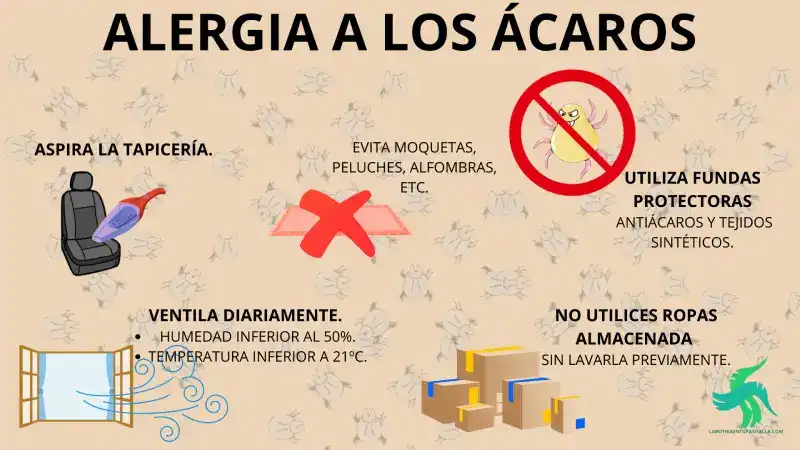 4 TIPOS DE ALERGIA Y COMO EVITAR SUS SÍNTOMAS