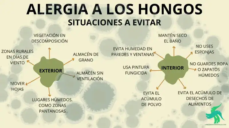 4 TIPOS DE ALERGIA Y COMO EVITAR SUS SÍNTOMAS