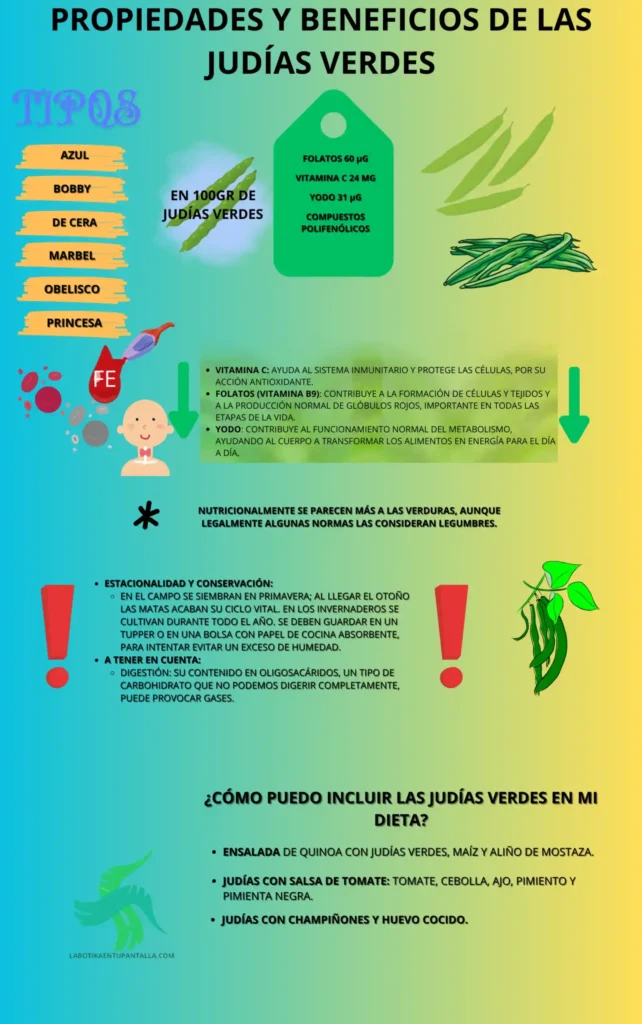 Propiedades y beneficios de las judías verdes, recetas, como comerlas