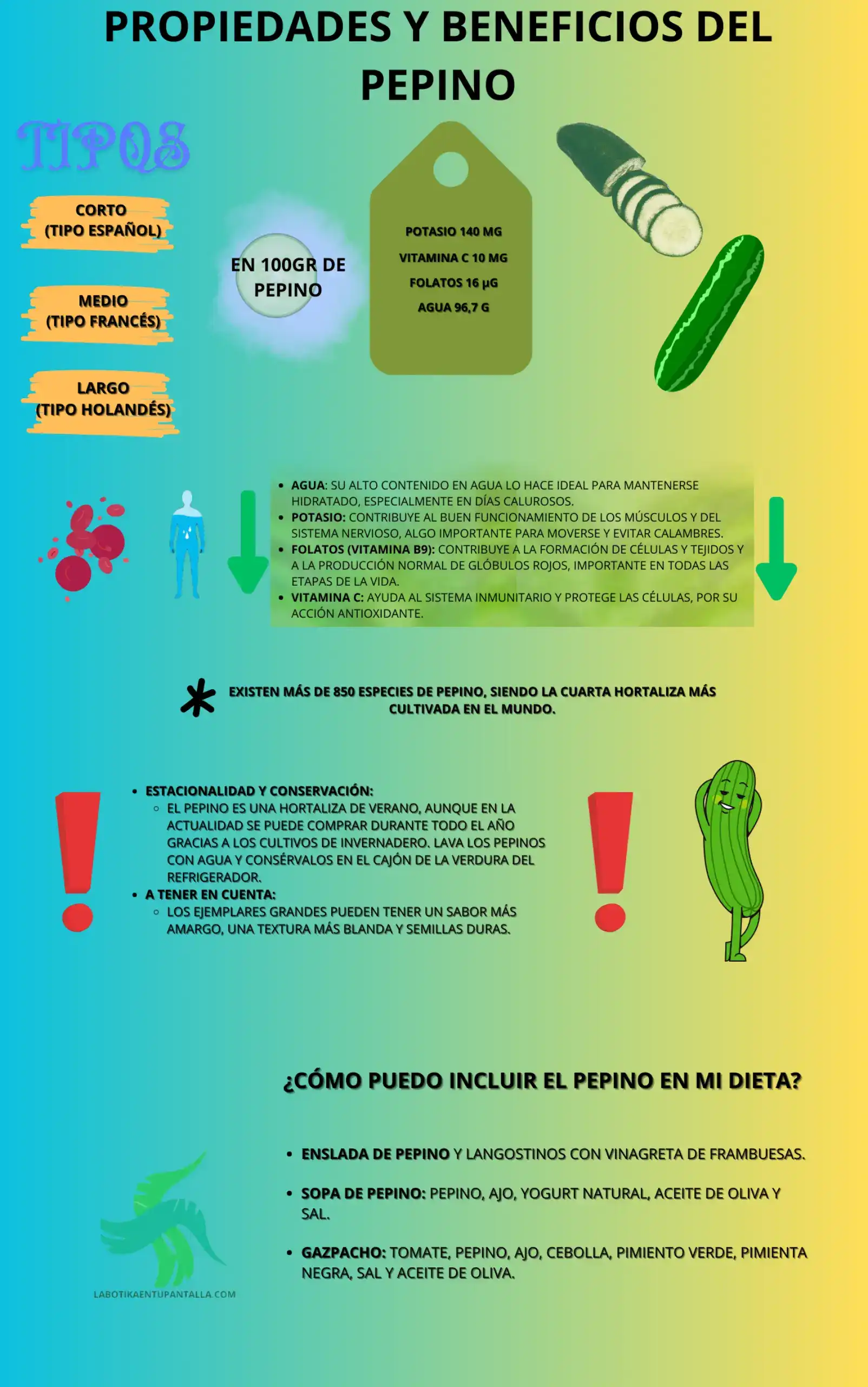 Propiedades y beneficios del pepino, recetas, como comerlo