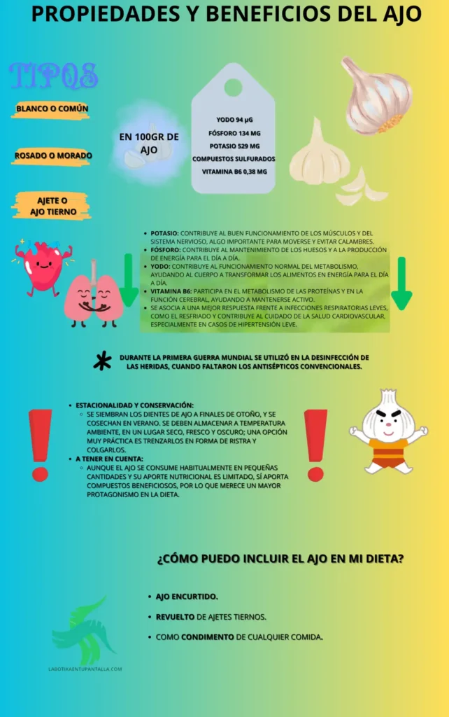Propiedades y beneficios del ajo, recetas, como comerlo