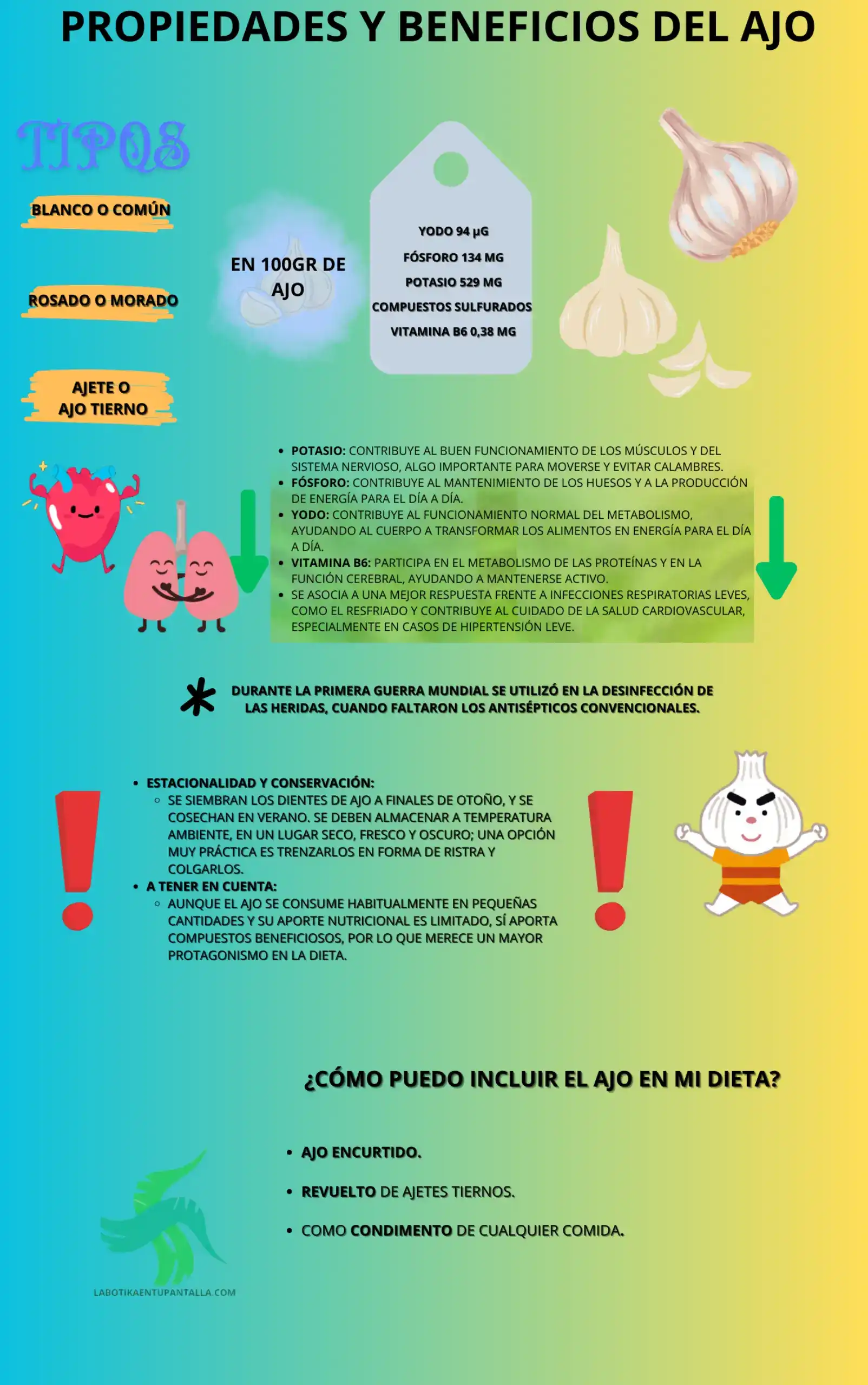 Propiedades y beneficios del ajo, recetas, como comerlo