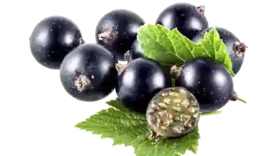 Plantas antiinflamatorias, dolor por inflamación, dolor por fiebre. antiinflamatorios naturales