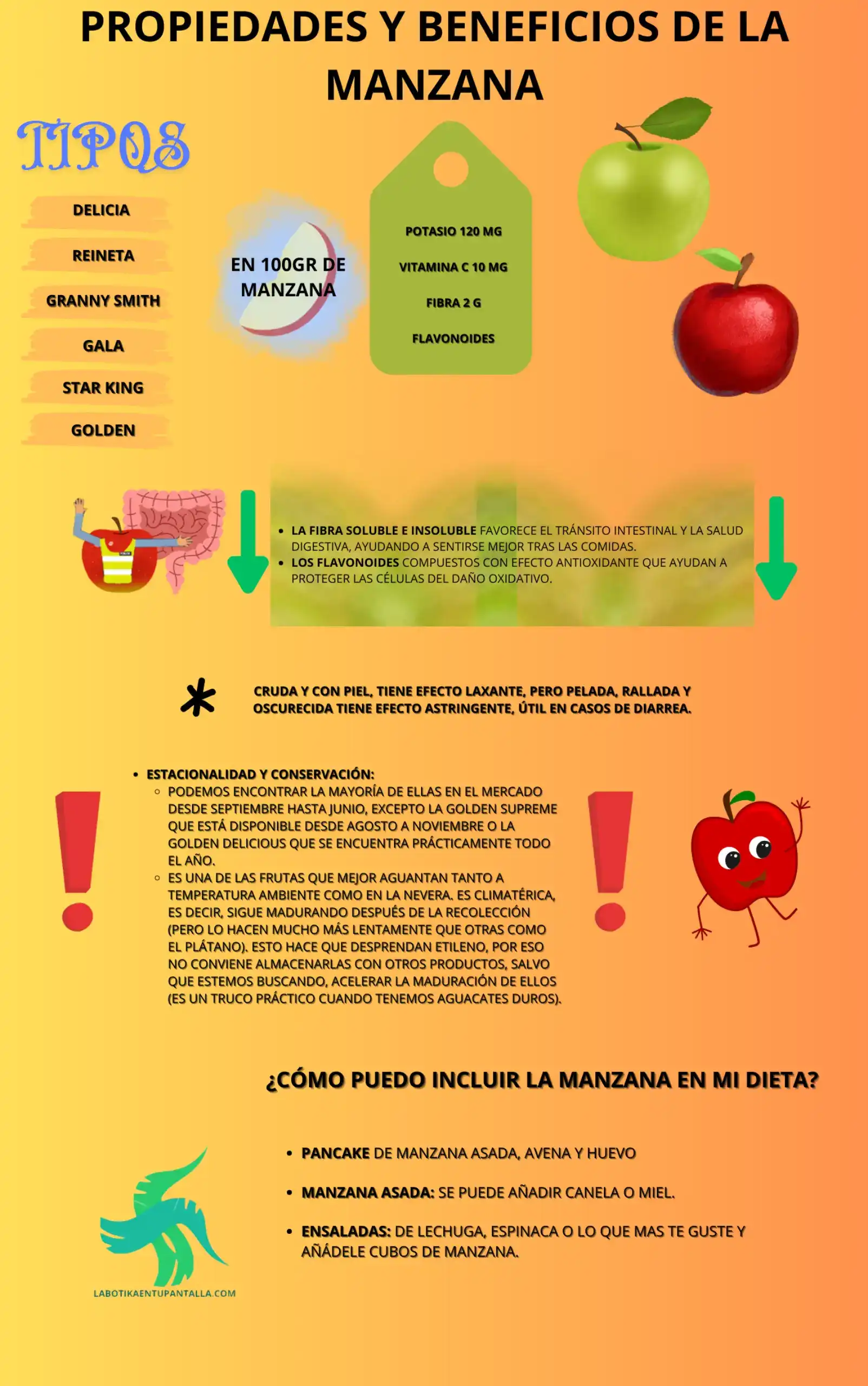 Propiedades y beneficios de la manzana, recetas, como comerlo