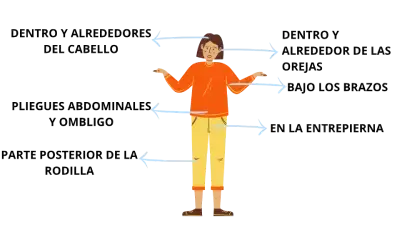 Enfermedad de lyme: prevención de las picaduras de garrapatas.