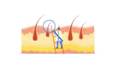 Podcast de todo lo que debes sobre tu pelo y el cuidado capilar. podcast de salud, podcaste de bienestar, podcast de información sanitaria. podcast de belleza, podcast de cosmética.