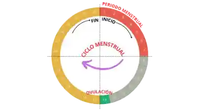 tipos de anticonceptivos, como usas los anticonceptivos