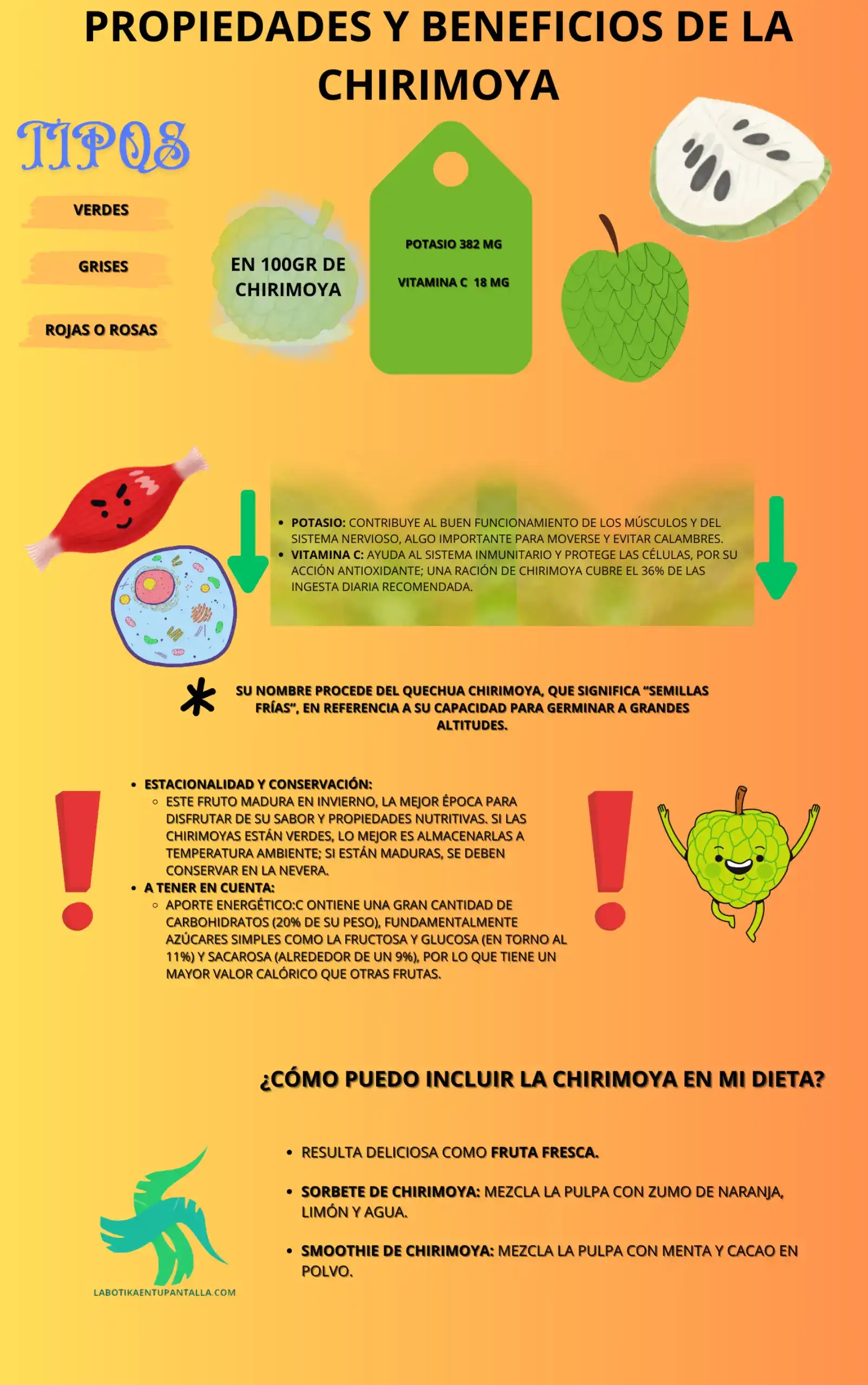 Propiedades y beneficios de la chirimoya, recetas, como comerlas