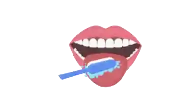 Salud bucodental, prevención de caries, enfermedad periodontal, Edentulismo, un buen cepillado previene complicaciones