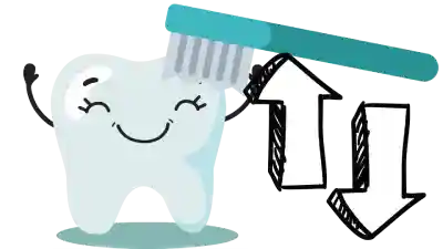Salud bucodental, prevención de caries, enfermedad periodontal, Edentulismo, un buen cepillado previene complicaciones