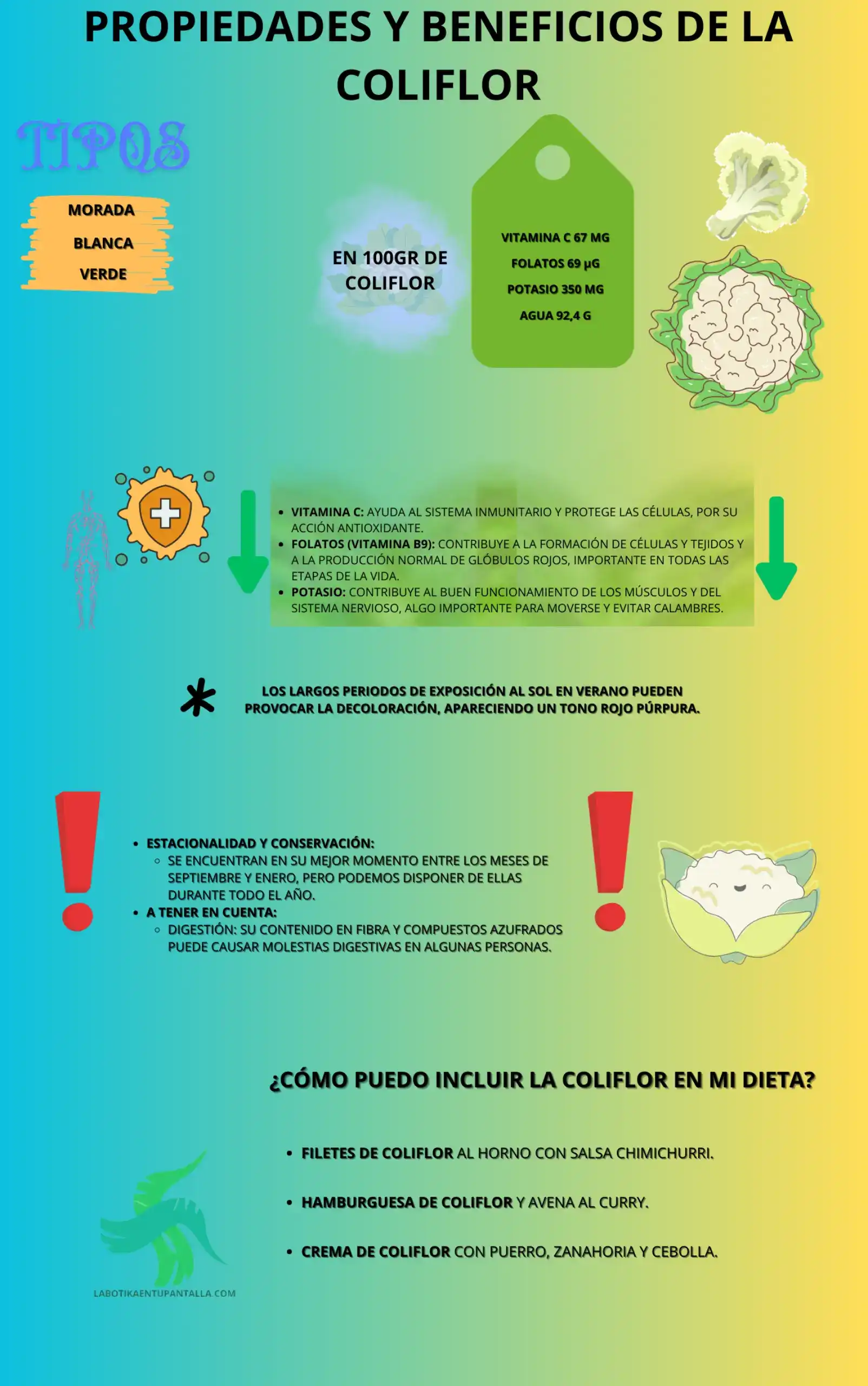 Propiedades y beneficios de la COLIFLOR, recetas, como comerlas