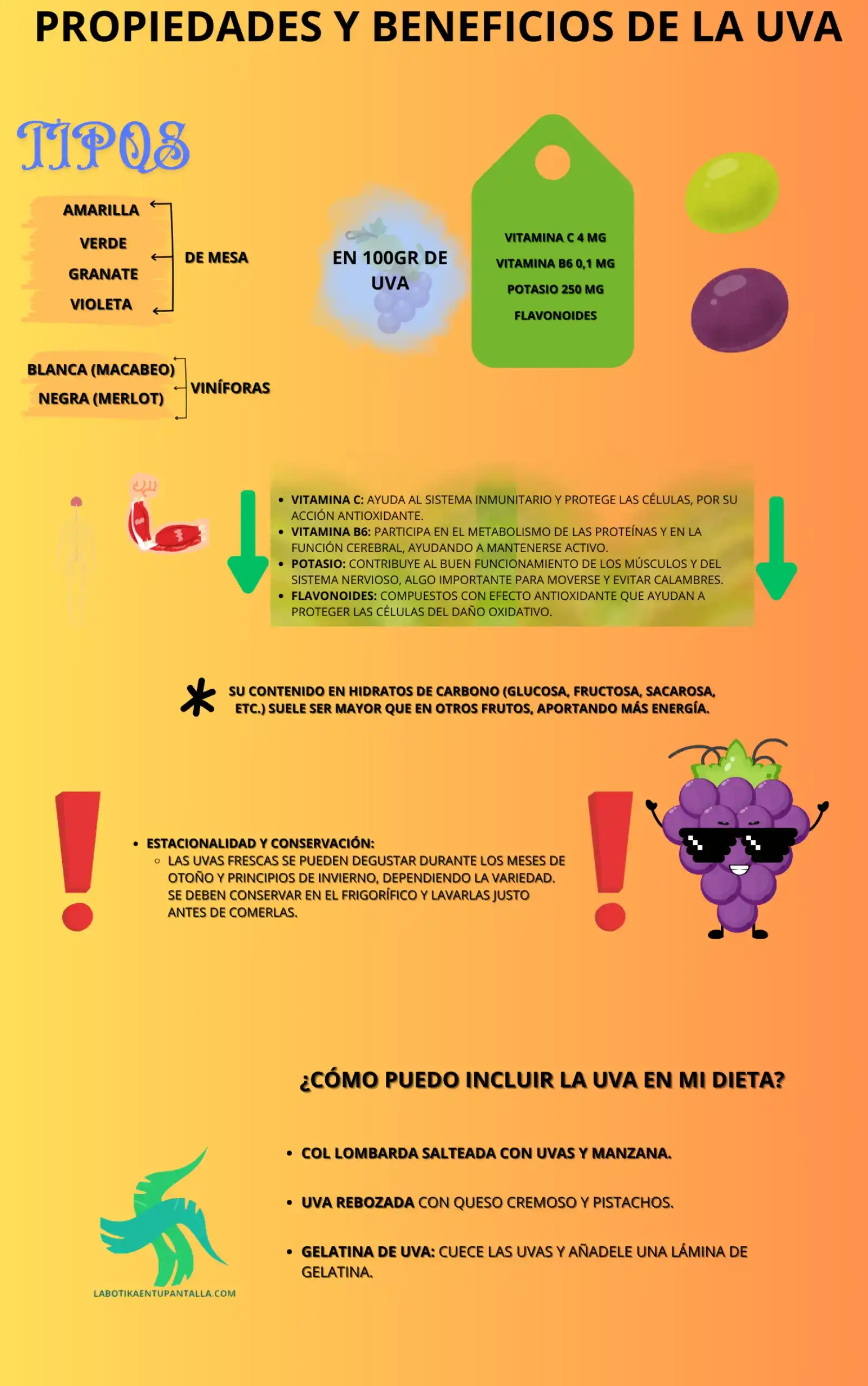 Propiedades y beneficios de LA UVA, recetas, como comerlas