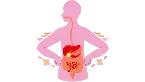 salud digestiva, sistema digestivo, digestión, buena digestión, plantas medicinales para una buena digestión