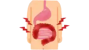 Microbiota intestinal, como funciona en microbioma, probióticos y probióticos