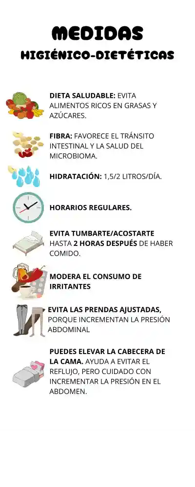 8 Plantas medicinales, salud digestiva, sistema digestivo, digestión, buena digestión, plantas medicinales para una buena digestión