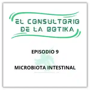 Microbiota intestinal, como funciona en microbioma, probióticos y probióticos