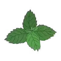 salud digestiva, sistema digestivo, digestión, buena digestión, plantas medicinales para una buena digestión