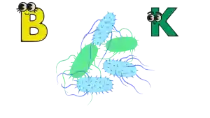 Microbiota intestinal, como funciona en microbioma, probióticos y probióticos